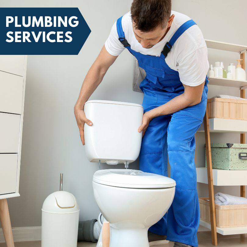Plumbing Company in Aripeka, FL